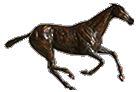 chevaux de bronze